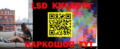 прущие грибы Первоуральск