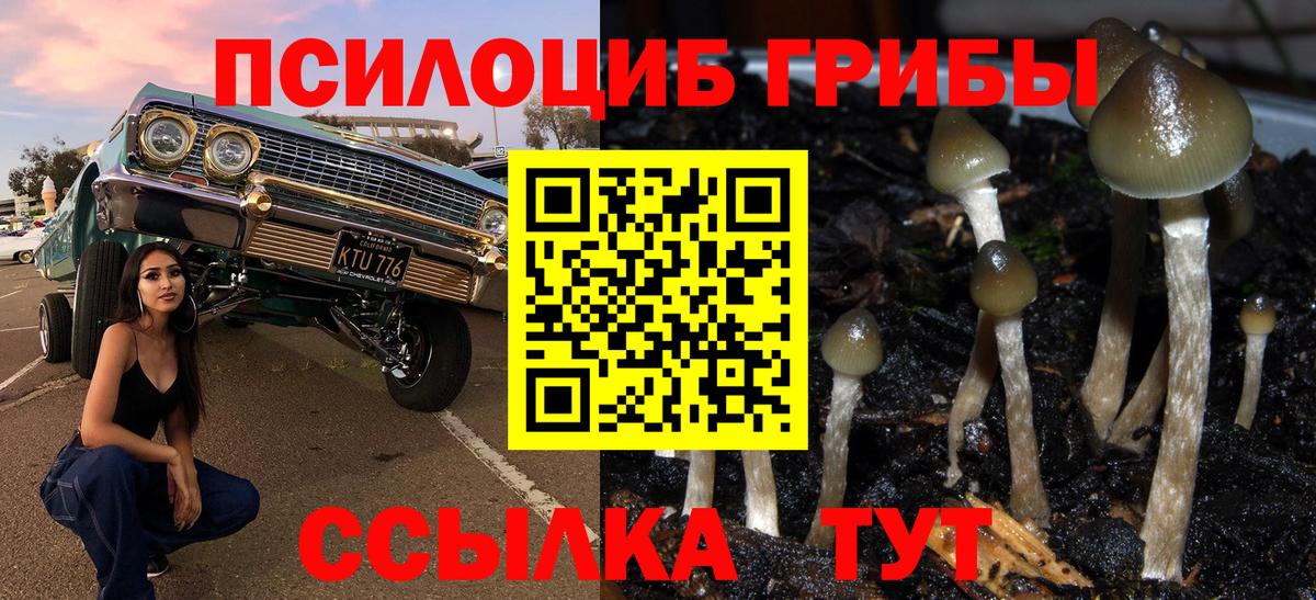 Галлюциногенные грибы ЛСД Евпатория